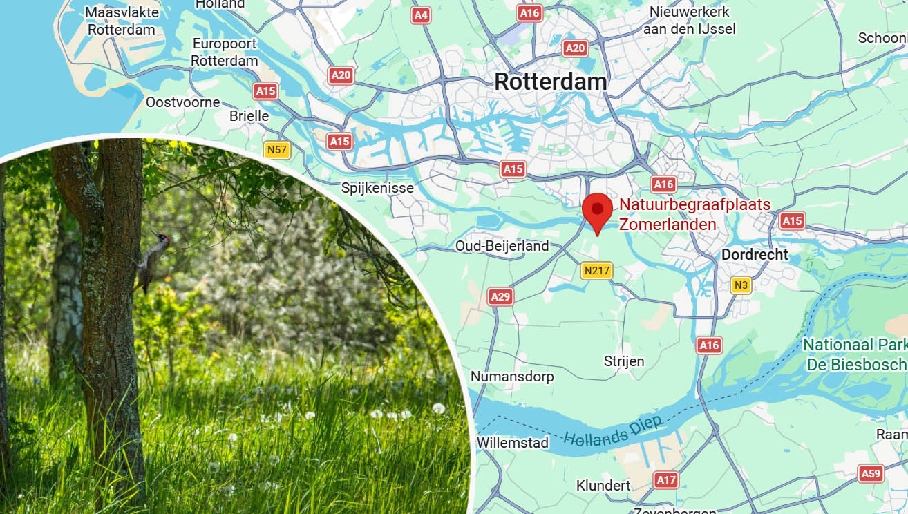 Natuurbegraafplaats in de buurt van Rotterdam Zuid Holland Ecologische uitvaart bosbegraafplaats Hoekse Waard eeuwigdurend graf